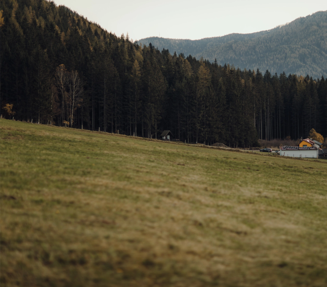 beautiful-shot-village-foot-alps-evening
